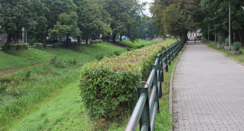Dewastacja  czy pielęgnacja?