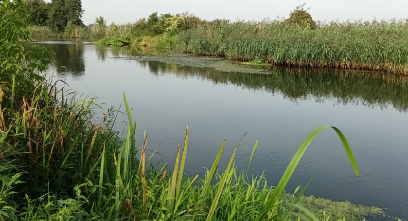 Na ryby! Kryształowe spławiki