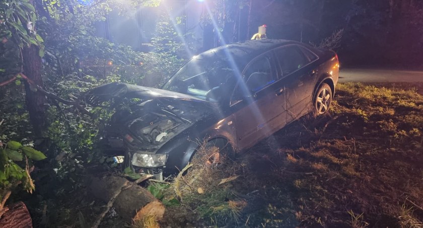 Audi wypadło z drogi i uderzyło w drzewo. Zatrzymani ojciec i syn - obaj kompletnie pijani