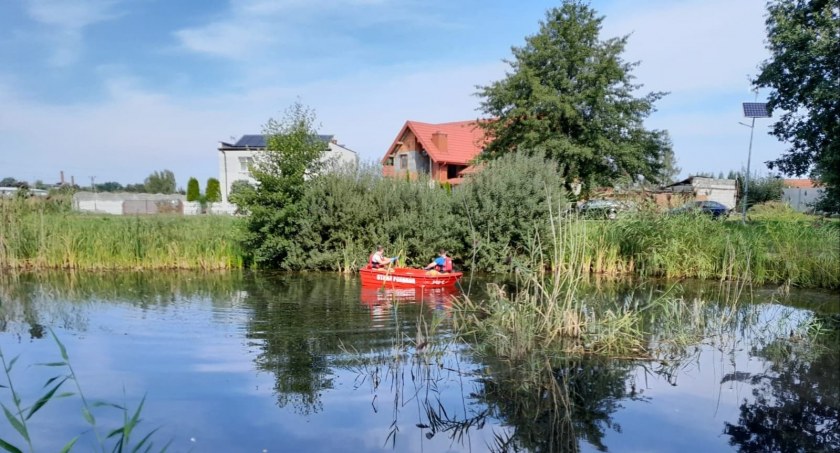 Śnięte ryby w stawie w gminie Stawiszyn 