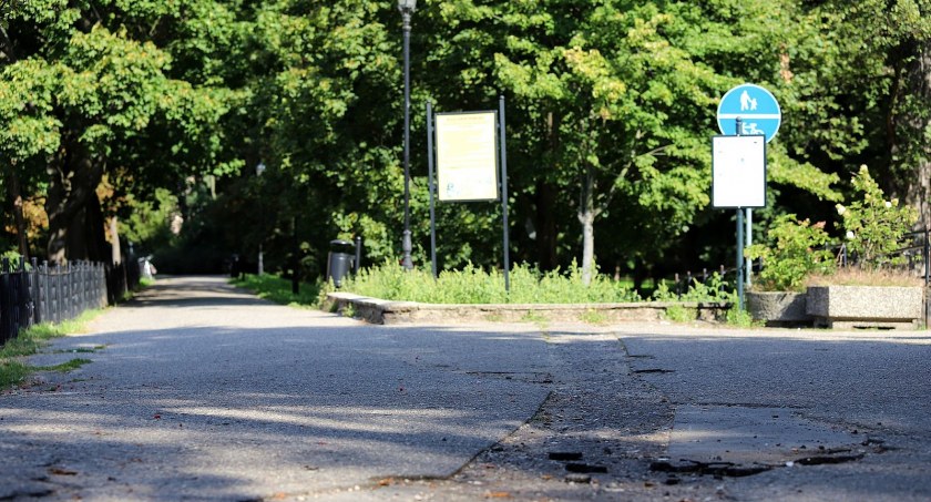 Rewaloryzację parku czas zacząć. Żadne drzewa nie zostaną wycięte.