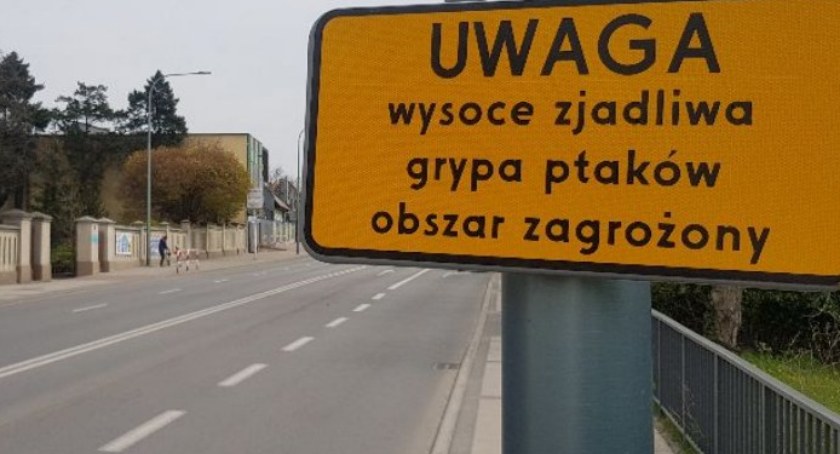Grypa ptaków nie odpuszcza – szkolenia weterynaryjne w powiecie kaliskim
