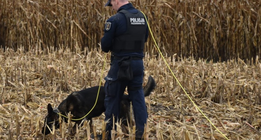 Baster - czworonożny policjant wytropił sprawcę kradzieży