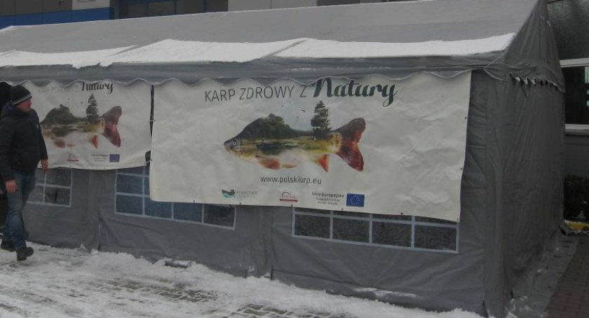 Żywe karpie świąteczne 