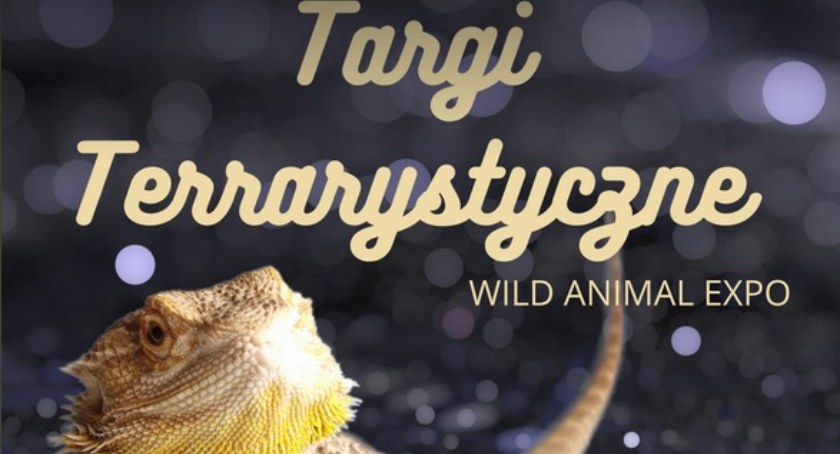 Targi Terrarystyczne w Kaliszu 