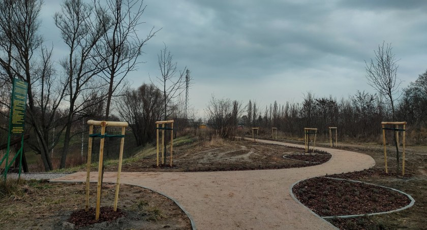 Zakątek lawendowo-lipowy na Gronach 