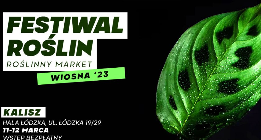 Festiwal Roślin w Kaliszu 