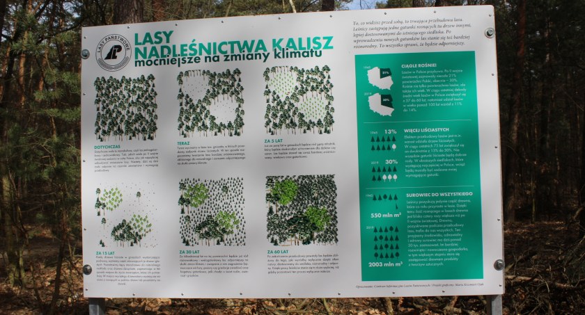 Walczą o polskie kopalnie i lasy