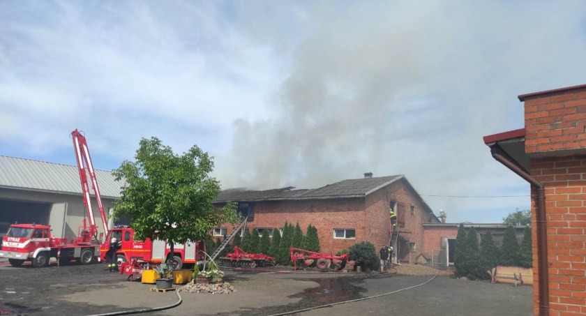 Pożar chlewni w Cieni Trzeciej i ewakuacja zwierząt. Ogromne straty