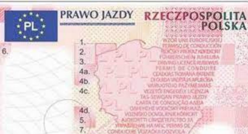 Odbieranie prawa jazdy wszystkich posiadanych kategorii jest niekonstytucyjne 