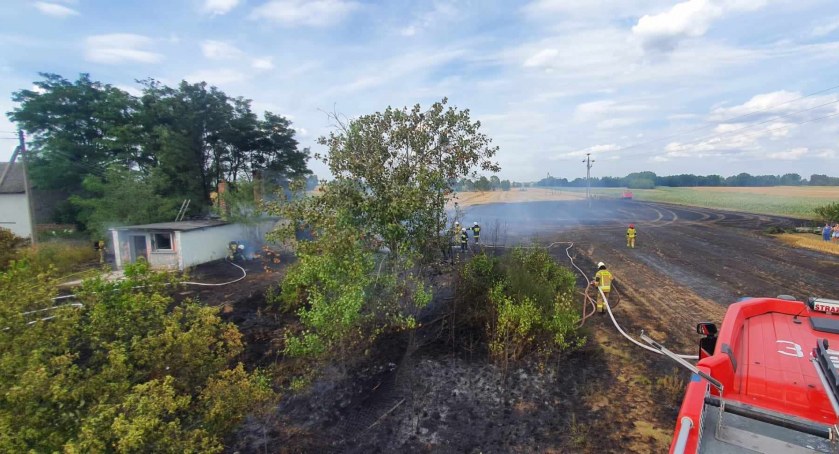Pożar pustostanu i pola w Jankowie Drugim