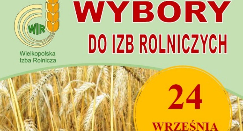 24 września br. wybory do izb rolniczych
