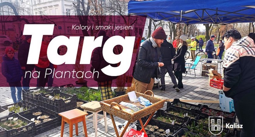 Szósty Targ na plantach