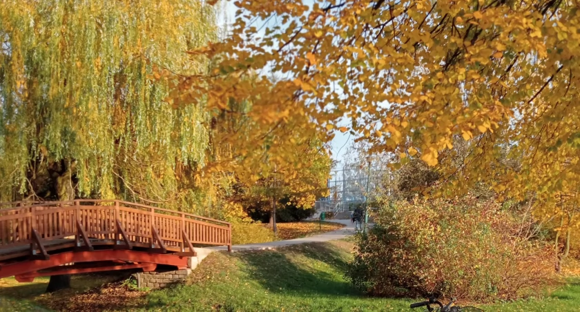 Park przyjaźni w jesiennej odsłonie okiem kaliszanki