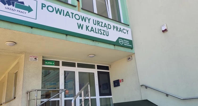 Najnowsze oferty pracy z Urzędu Pracy