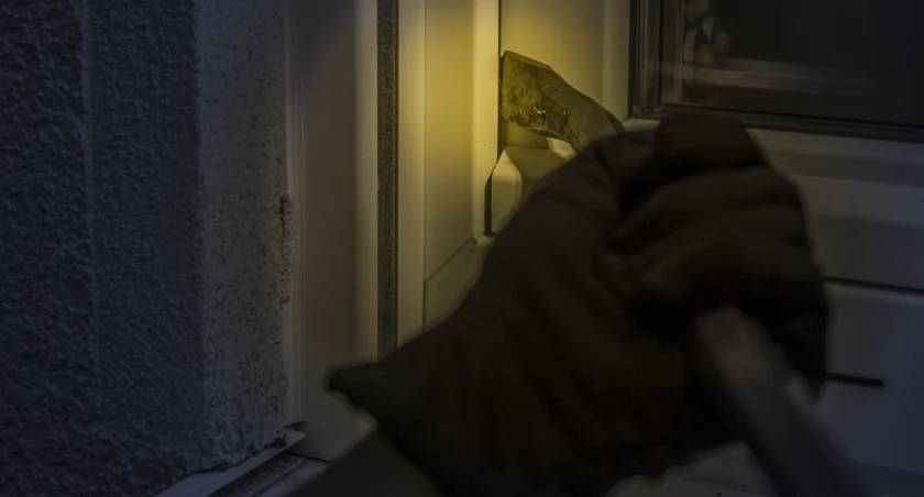 Włamywał się do altan na terenie ogrodów działkowych. 42-letni złodziej w rękach policji