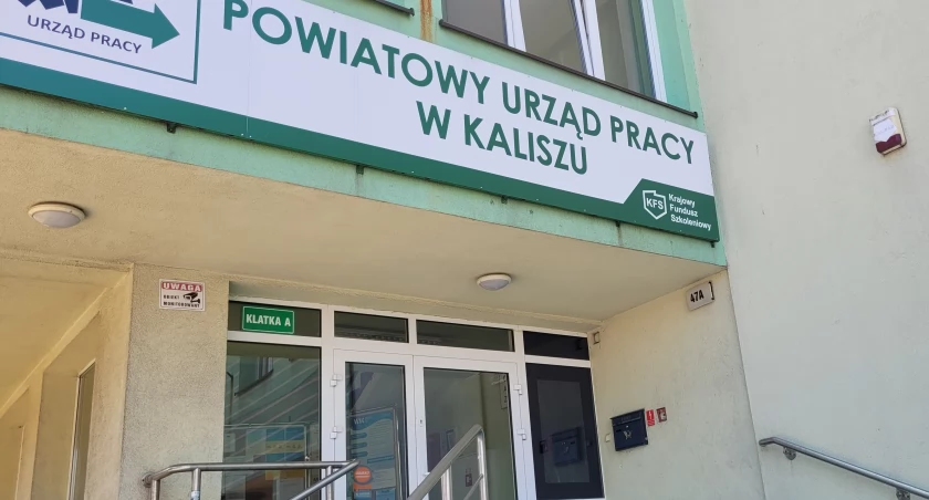 Najnowsze oferty pracy z Urzędu Pracy