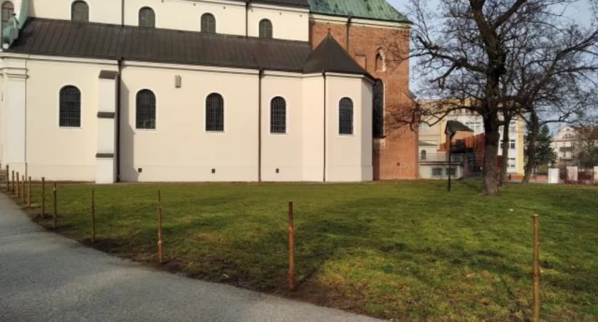 Obok Sanktuarium św. Józefa, w Parku Miejskim powstanie wyjątkowy ogród