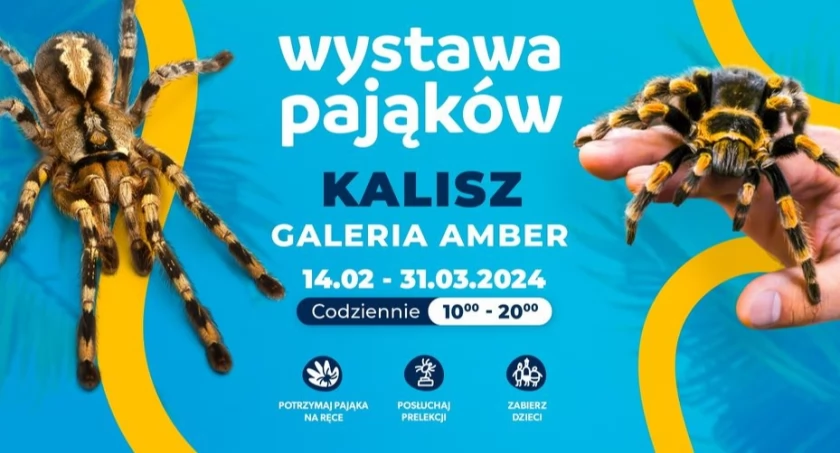 Wystawa Pająków w Kaliszu! 