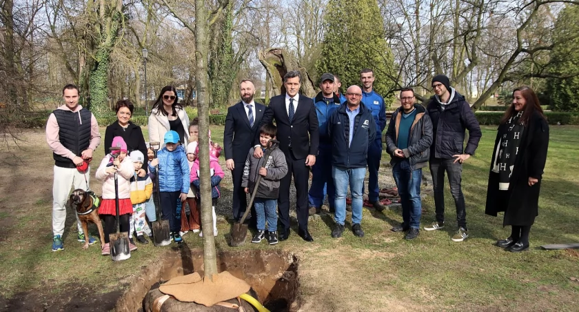 Dąb Asnyka zyskał nowego towarzysza i młodego następcę 