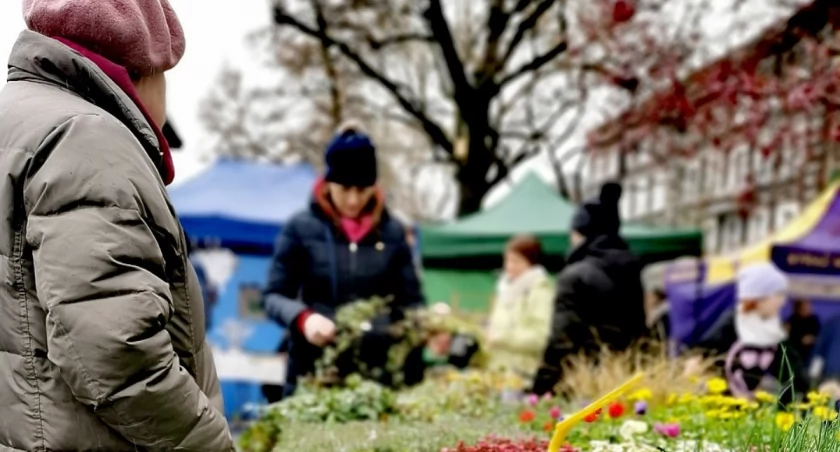 Targ na plantach