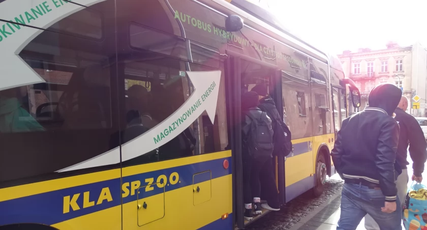 Majówka 2024: Jak jeżdżą autobusy na początku maja? Zmieniony rozkład KLA
