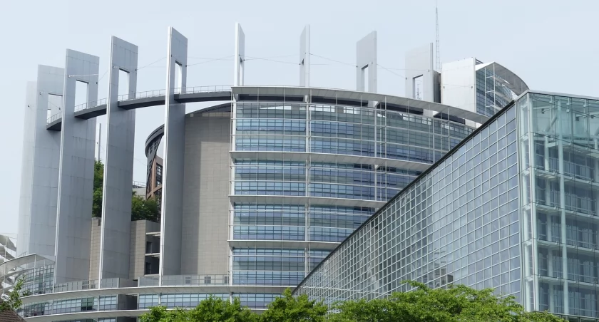 Poznaliśmy polskich posłów do Parlamentu Europejskiego