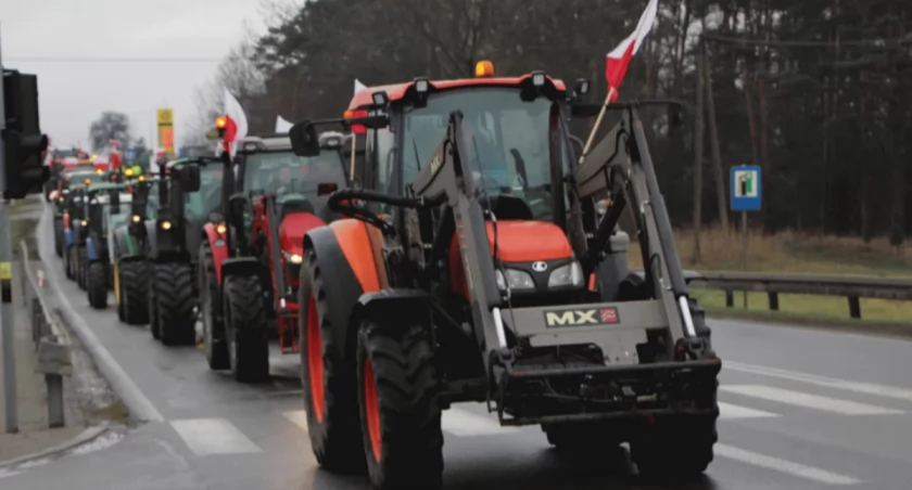 Polacy nie chcą Zielonego Ładu