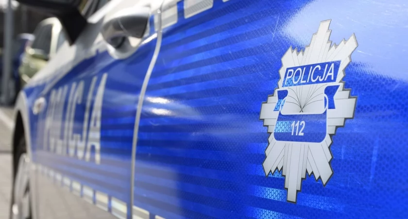 Potrącił kota i odjechał. Kaliska policja prosi o pomoc świadków