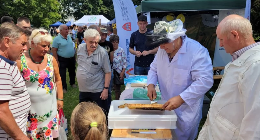 Wielki Dzień Pszczół w Kaliszu!