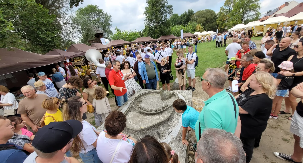 Wielkopolski Dzień Pszczół w Kaliszu: Święto pszczelarzy i miodu