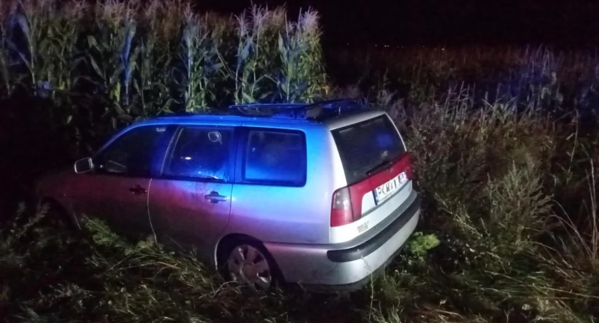 Kompletnie pijany wjechał w pole kukurydzy. Zareagował świadek