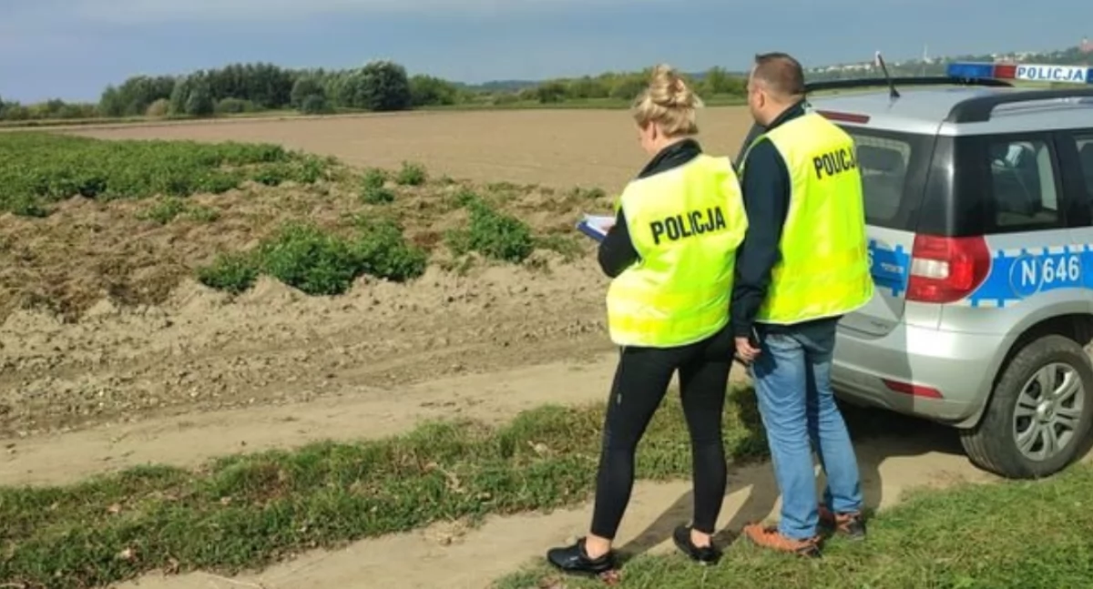 Z pól kradną dynie, ogórki, truskawki a także maszyny rolnicze