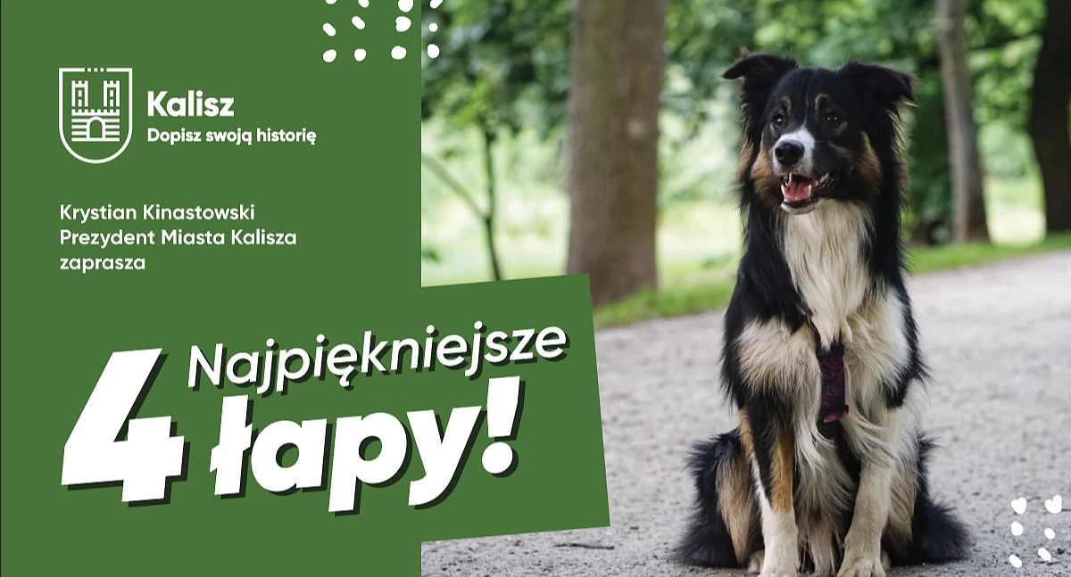 Prezentacja psów w Parku Przyjaźni oraz rajd rowerowy w innych terminach