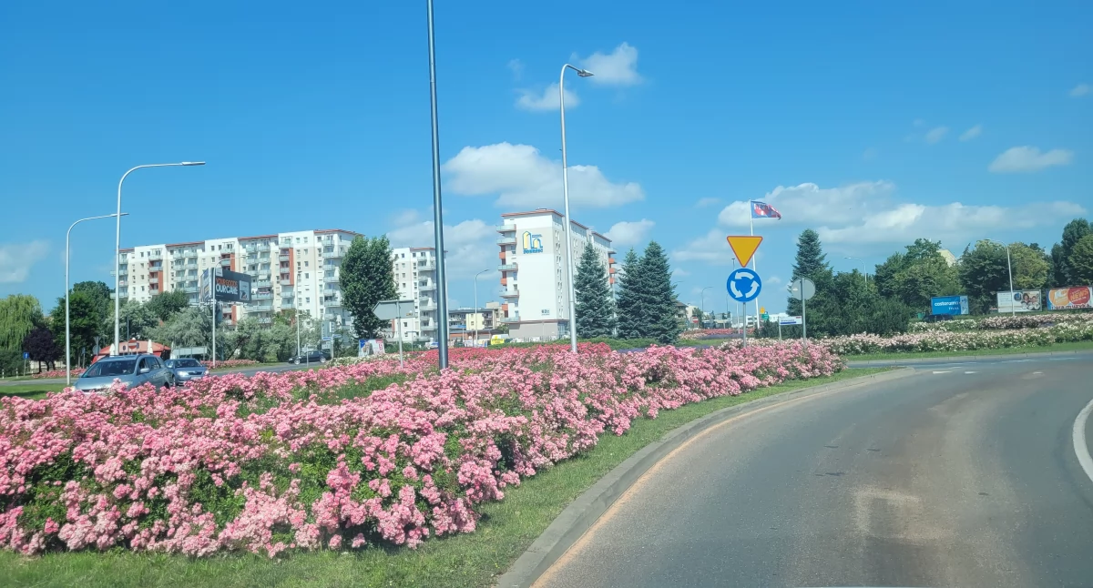 Rozpoczęło się głosowanie na projekty Budżetu Obywatelskiego Kalisza na 2025 rok!