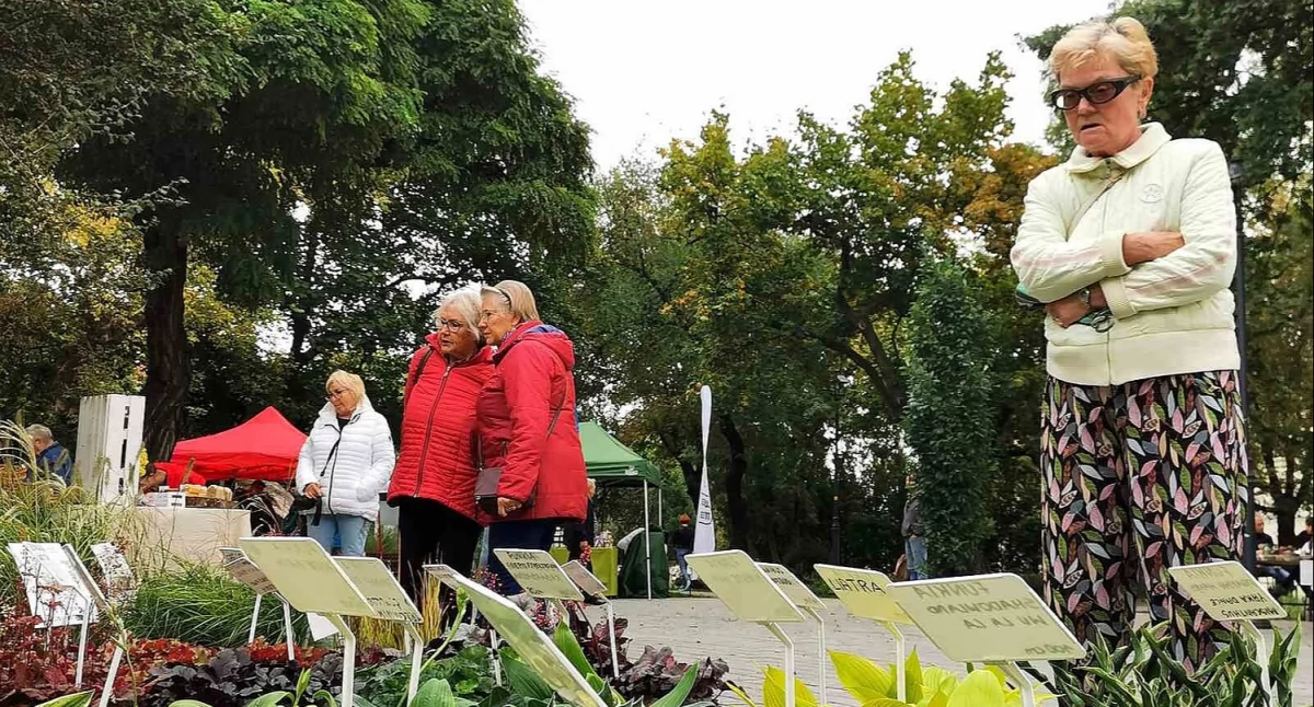 Kolejna atrakcja na plantach!
