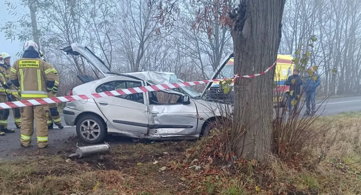 Pijany kierowca renault rozbił się na drzewie