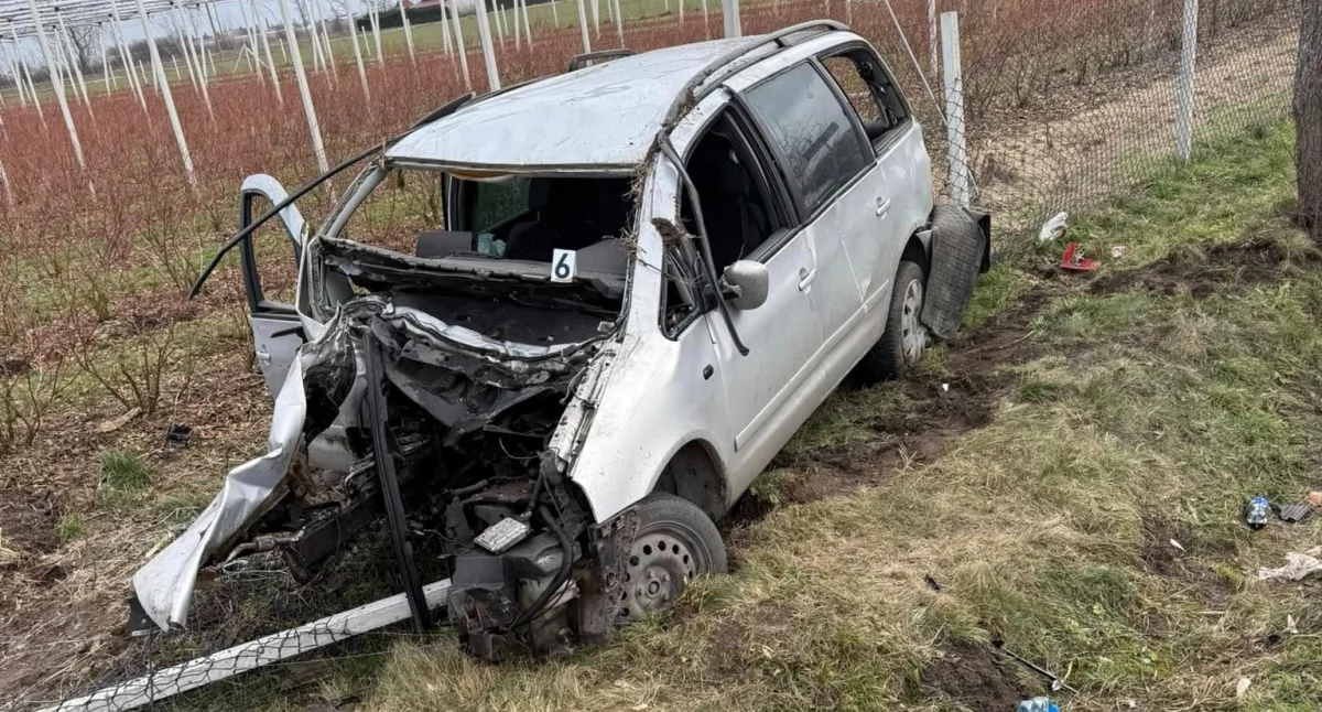 Volkswagen uderzył w drzewo i dachował, poszkodowane dziecko