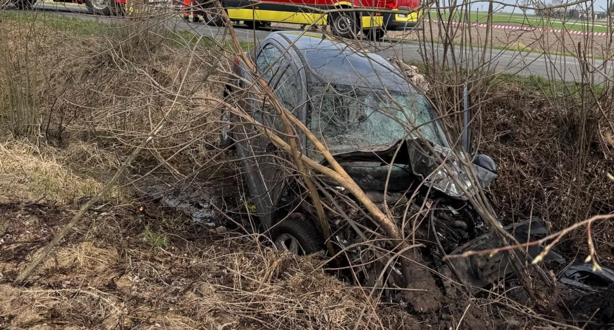 Wypadek w Morawinie. 19-letni kierowca roztrzaskał się na drzewie