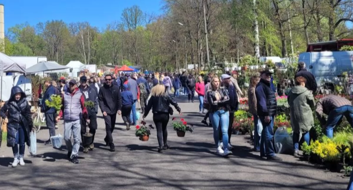 Targi ogrodnicze w Opatówku: Harmonogram i atrakcje!