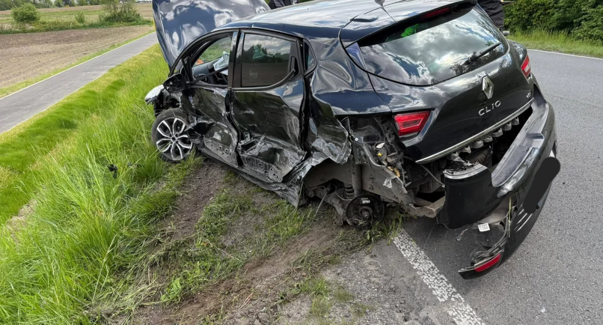 Mogli zginąć przez sarnę