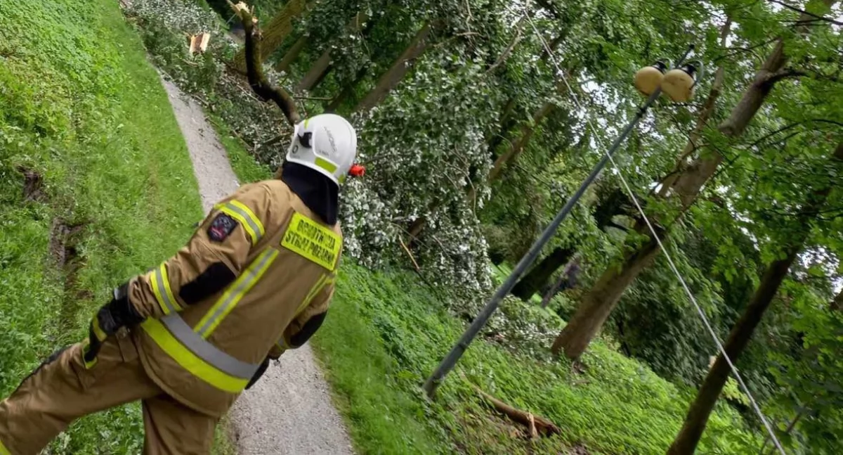 Wypadek na szkolnym boisku. Konar drzewa spadł na trzy osoby, w tym dzieci