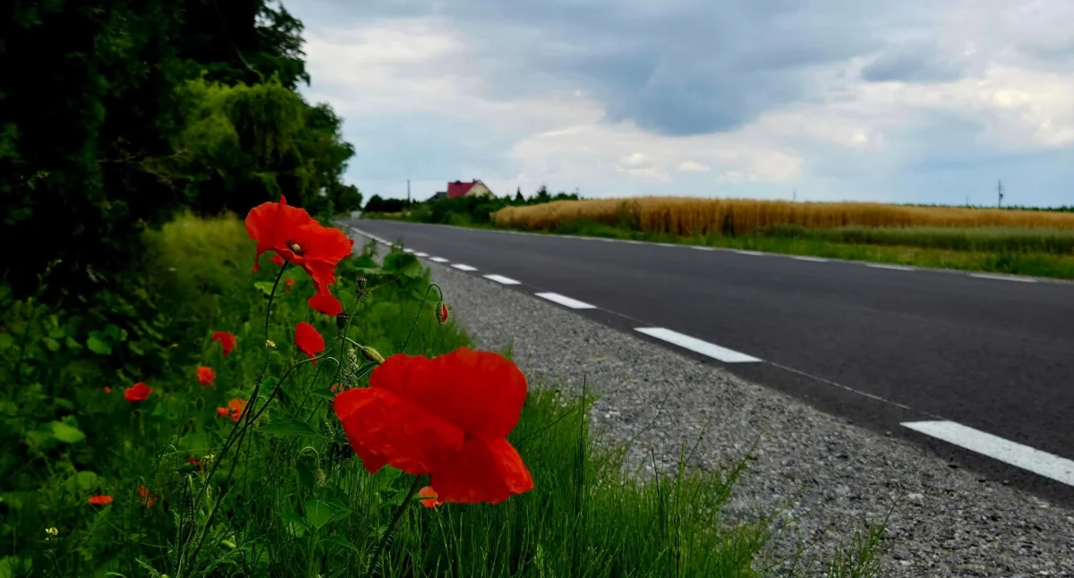 Z Florentyny do Borkowa Starego jazda  niczym po maśle