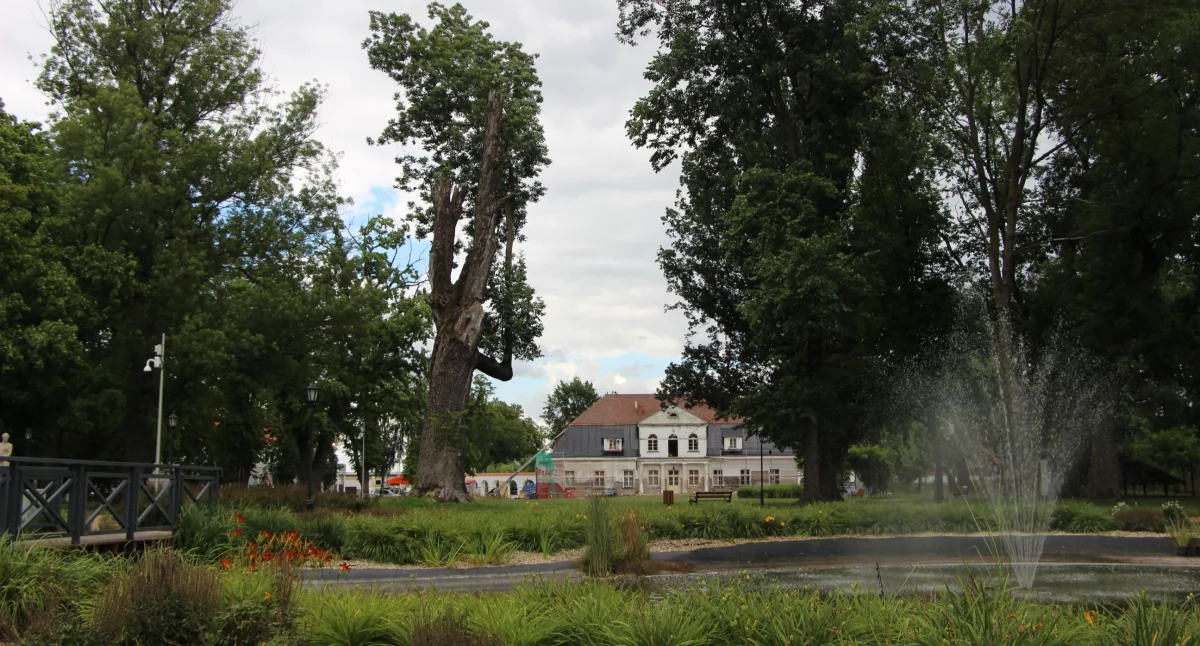 Dwór, park w Żelazkowie i nie tylko  – warto obejrzeć