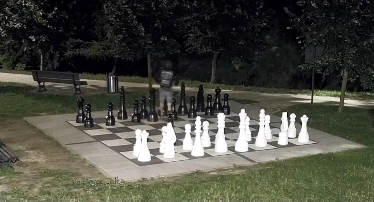 Ukradł figurę szachową z parku. Policja publikuje zdjęcie 
