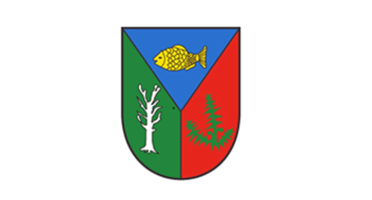 Wójt Gminy  Brzeziny ogłasza