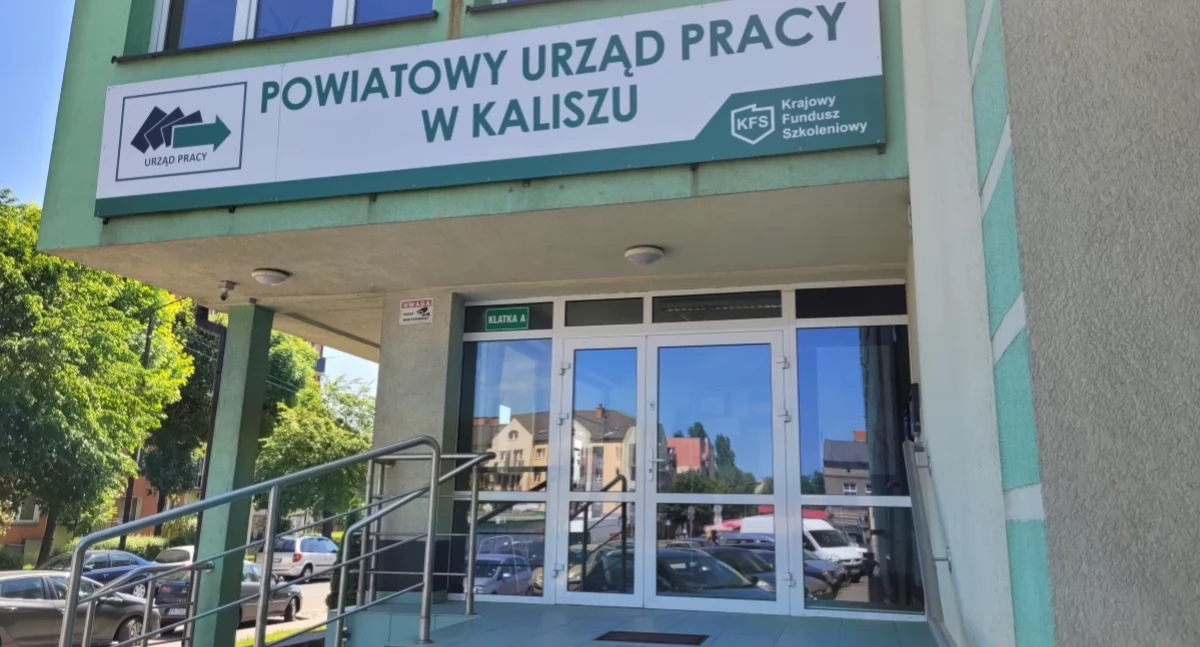 Najnowsze oferty pracy