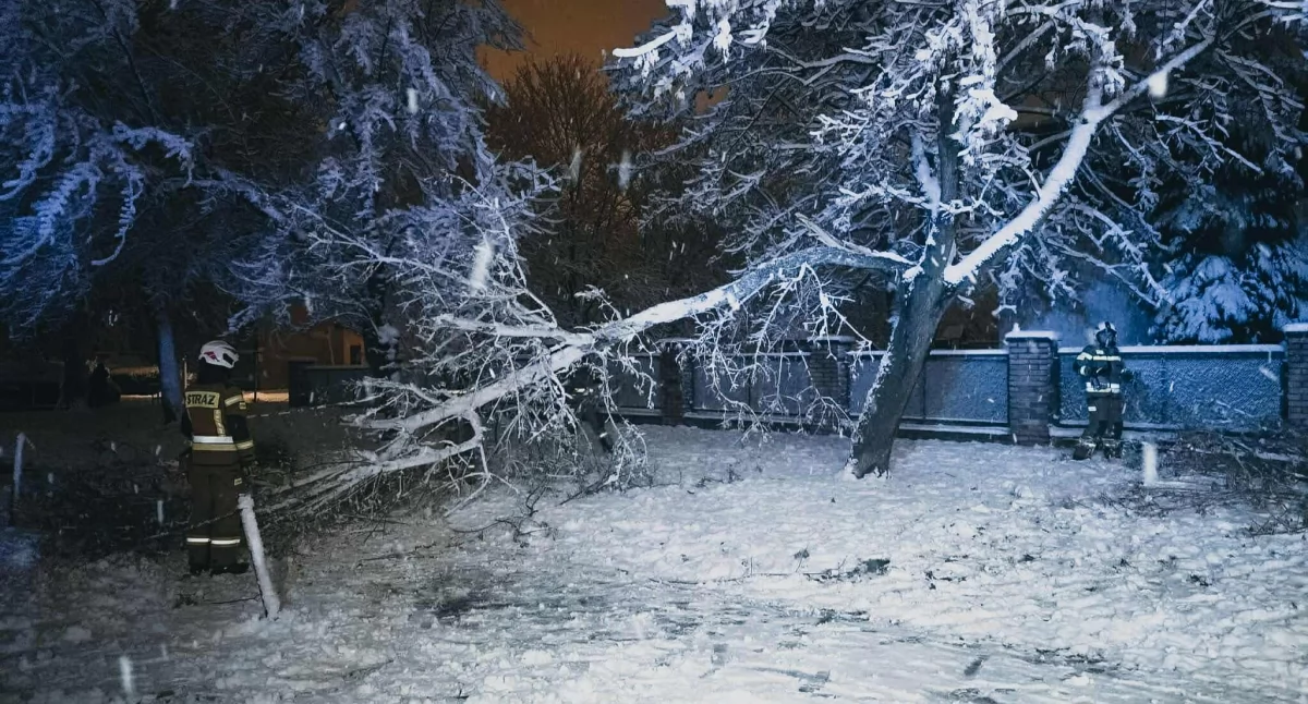 Masowe awarie prądu, połamane drzewa, ranna kobieta. Zima w natarciu