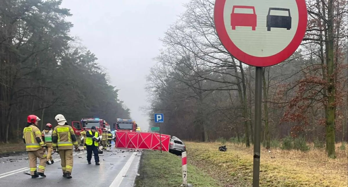 Śmiertelny wypadek w Gołuchowie
