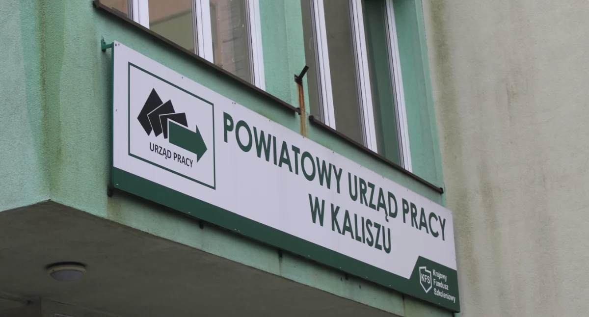Najnowsze ofert pracy z PUP w Kaliszu